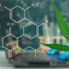 10 Quick Facts On Cannabinoids That You Should Know