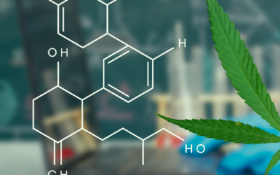 10 Quick Facts On Cannabinoids That You Should Know