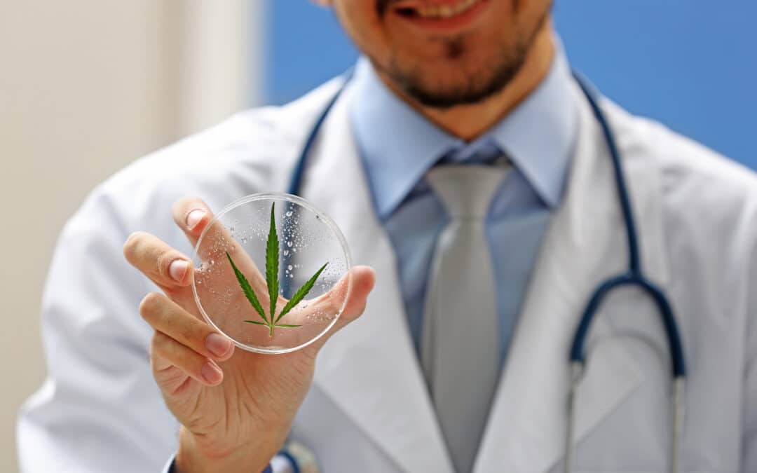 The Role of a Medical Provider in Your Cannabis Journey